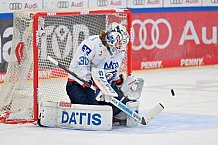 Eishockey, Herren, DEL, Saison 2024-2025, Spieltag 17, ERC Ingolstadt - Adler Mannheim, 17.11.2024