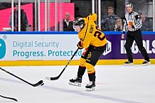 Hockey, Mens, CHL, Season 2025-2026, Regular Season, Game Day 2, ERC Ingolstadt - Kalpa Kuopio, 30.08.2025