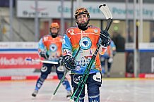 Eishockey, Frauen, DFEL, Saison 2024-2025, ERC Ingolstadt - EC Bergkamener Bären, 05.01.2025