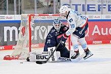 Eishockey, Herren, DEL, Saison 2024-2025, Spieltag 17, ERC Ingolstadt - Adler Mannheim, 17.11.2024
