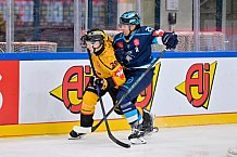 Hockey, Mens, CHL, Season 2025-2026, Regular Season, Game Day 2, ERC Ingolstadt - Kalpa Kuopio, 30.08.2025