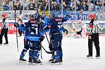 Eishockey, Herren, DEL, Saison 2024-2025, Spieltag 36, ERC Ingolstadt - Kölner Haie, 12.01.2025