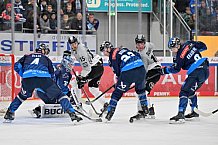 Eishockey, Herren, DEL, Saison 2024-2025, Spieltag 42, ERC Ingolstadt - Kölner Haie, 31.01.2025
