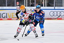 Eishockey, Herren, DEL, Saison 2025-2026, Spiel 21, ERC Ingolstadt - Pinguins Bremerhaven, 23.11.2025