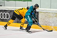 Eishockey, Herren, DEL, Saison 2026-2027, ERC Ingolstadt - HC Verva Litvinov - Steinbach Black Wings Linz, 22.08.2026