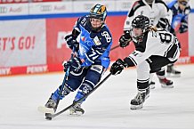 Eishockey, Frauen, DFEL, Saison 2023-2024, ERC Ingolstadt - Amsterdam Tigers, 06.01.2024