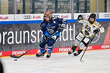 Eishockey, Frauen, DFEL, Saison 2024-2025, ERC Ingolstadt - Mad Dogs Mannheim, 23.11.2024