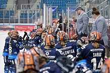 Eishockey, Frauen, DFEL, Saison 2024-2025, ERC Ingolstadt - Mad Dogs Mannheim, 23.11.2024