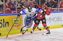 Koelner Haie vs ERC Ingolstadt, DEL, Deutsche Eishockey Liga, Playoffs, Viertelfinale, Spiel 7, 31.03.2019