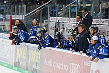 ERC Ingolstadt - Duesseldorfer EG, Eishockey, DEL, Deutsche Eishockey Liga, Spieltag 22, 19.11.2017
