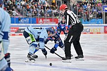 Eishockey, Herren, DEL, Saison 2023-2024, Spieltag 23, ERC Ingolstadt - Straubing Tigers, 01.12.2023