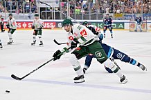 Eishockey, Mens, CHL, Season 2023-2024, ERC Ingolstadt - Färjestad Karlstad, 02.09.2023