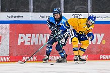 Eishockey, Frauen, DFEL, Saison 2025-2026, Testspiel, ERC Ingolstadt - HC Davos, 14.02.2026