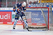 Eishockey, Herren, DEL, Saison 2024-2025, Spieltag 45, ERC Ingolstadt - Iserlohn Roosters, 16.02.2025