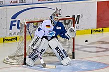 ERC Ingolstadt vs Thomas Sabo Ice Tigers am 06.01.2019, Spieltag 37