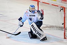 Eishockey, Herren, DEL, Saison 2022-2023, Spieltag 43, Straubing Tigers - ERC Ingolstadt, 15.01.2023