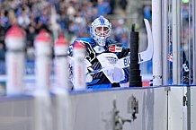 Eishockey, Herren, DEL, Saison 2025-2026, Spiel 40, ERC Ingolstadt - Straubing Tigers, 16.01.2026