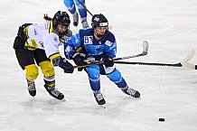 Eishockey, Frauen, DFEL, Saison 2020-2021, ERC Ingolstadt - Mad Dogs Mannheim, 30.01.2021