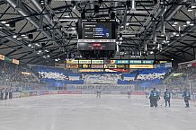 Eishockey, Herren, DEL, Saison 2022-2023, Playoff-Halbfinale - Spiel 1, ERC Ingolstadt - Adler Mannheim, 31.03.2023