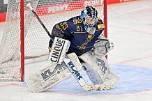 Eishockey, Frauen, DFEL, Saison 2022-2023, ERC Ingolstadt - Mad Dogs Mannheim, 20.11.2022