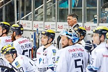 ERC Ingolstadt vs Hamburg Freezers, Eishockey, DEL, Deutsche Eishockey Liga, Spieltag 43, 05.02.2016, Foto: st.foto.de / Oliver STRISCH

