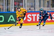 Hockey, Mens, CHL, Season 2025-2026, Regular Season, Game Day 2, ERC Ingolstadt - Kalpa Kuopio, 30.08.2025