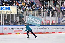 Eishockey, Herren, DEL, Saison 2023-2024, Spieltag 52, ERC Ingolstadt - Nürnberg Ice Tigers, 08.03.2024