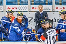 ERC Ingolstadt - Duesseldorfer EG, Eishockey, DEL, Deutsche Eishockey Liga, Spieltag 19, 18.11.2016
