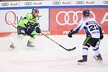 Eishockey, Herren, DEL, Saison 2020-2021, ERC Ingolstadt - Straubing Tigers, 10.02.2021