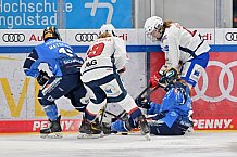 Eishockey, Frauen, DFEL, Saison 2023-2024, ERC Ingolstadt - ESC Planegg-Würmtal, 26.11.2023