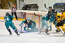 Eishockey, Herren, DEL, Saison 2026-2027, ERC Ingolstadt - HC Verva Litvinov - Steinbach Black Wings Linz, 22.08.2026