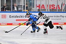 Eishockey, Frauen, DFEL, Saison 2023-2024, ERC Ingolstadt - Amsterdam Tigers, 06.01.2024