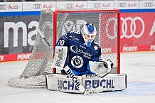Eishockey, Frauen, DFEL, Saison 2024-2025, ERC Ingolstadt - Mad Dogs Mannheim, 23.11.2024