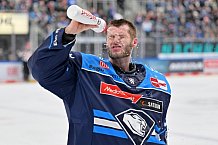 Eishockey, Herren, DEL, Saison 2025-2026, Spiel 44, ERC Ingolstadt - Dresdner Eislöwen, 27.01.2026