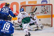 ERC Ingolstadt vs Augsburger Panther, Eishockey, DEL, Deutsche Eishockey Liga, Spieltag 21, 23.11.2016

