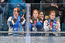 Eishockey, Herren, DEL, Saison 2024-2025, Spieltag 42, ERC Ingolstadt - Kölner Haie, 31.01.2025