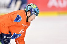 ERC Ingolstadt, Eishockey, DEL, Deutsche Eishockey Liga, 10.11.2017