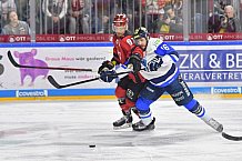 Koelner Haie vs ERC Ingolstadt, DEL, Deutsche Eishockey Liga, Playoffs, Viertelfinale, Spiel 7, 31.03.2019