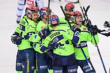 Eishockey, Herren, DEL, Saison 2020-2021, ERC Ingolstadt - Straubing Tigers, 13.02.2021