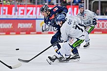 Eishockey, Herren, DEL, Saison 2024-2025, Spieltag 49, ERC Ingolstadt - Straubing Tigers, 28.02.2025