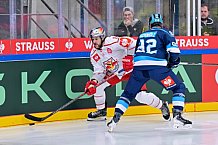 Hockey, Mens, CHL, Season 2025-2026, Regular Season, Round of 16, ERC Ingolstadt - EC Red Bull Salzburg, 12.11.2025