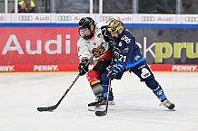 Eishockey, Frauen, DFEL, Saison 2024-2025, ERC Ingolstadt - EC Bergkamener Bären, 12.10.2024