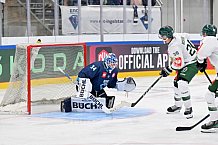 Eishockey, Mens, CHL, Season 2023-2024, ERC Ingolstadt - Färjestad Karlstad, 02.09.2023