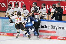 Eishockey, Frauen, DFEL, Vorbereitung, Saison 202-2025, ERC Ingolstadt - St. Pölten, 07.09.2024