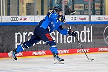 Eishockey, U20, DNL, Saison 2024-2025, ERC Ingolstadt - Krefelder EV 81, 01.03.2025