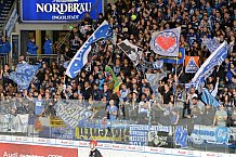 ERC Ingolstadt vs Schwenninger Wild Wings, Eishockey, DEL, Deutsche Eishockey Liga, 22.01.2016