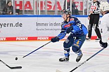 Eishockey, Herren, DEL, Saison 2023-2024, Spieltag 20, ERC Ingolstadt - Adler Mannheim, 19.11.2023