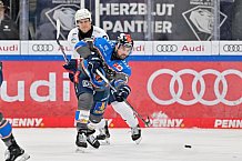 Eishockey, Herren, DEL, Saison 2023-2024, Spieltag 38, ERC Ingolstadt - Adler Mannheim, 14.01.2024