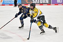 Eishockey, Frauen, DFEL, Saison 2022-2023, ERC Ingolstadt - Mad Dogs Mannheim, 19.11.2022