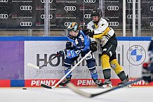 Eishockey, Frauen, DFEL, Saison 2023-2024, ERC Ingolstadt - Mad Dogs Mannheim, 18.02.2024